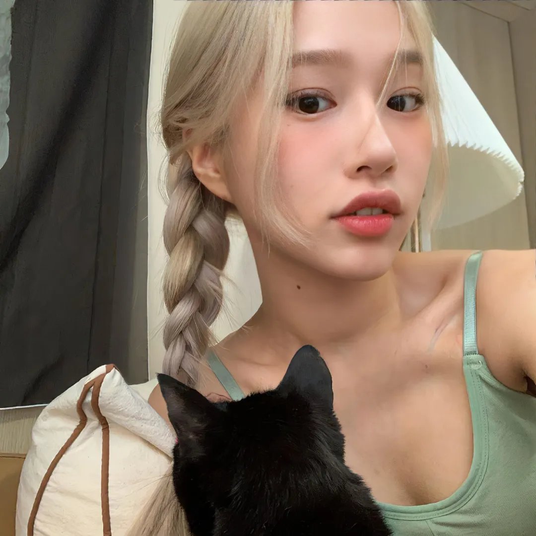 树篱女巫